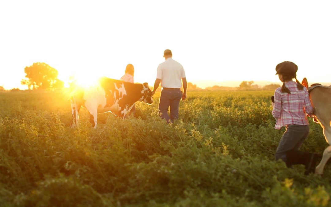 Dairy Farmers: The Truth Behind Family-Owned Farms