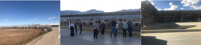Farm images of Smith Valley Dairy, located in Lyon County, Nevada - Image credit: Protect the Harvest