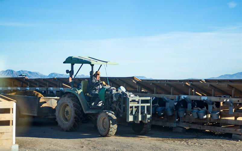 Nevada Dairy Industry Employment Impact