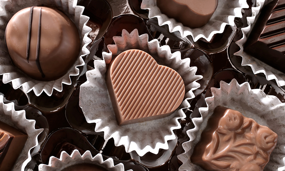 Milk + Chocolate, Together Forever