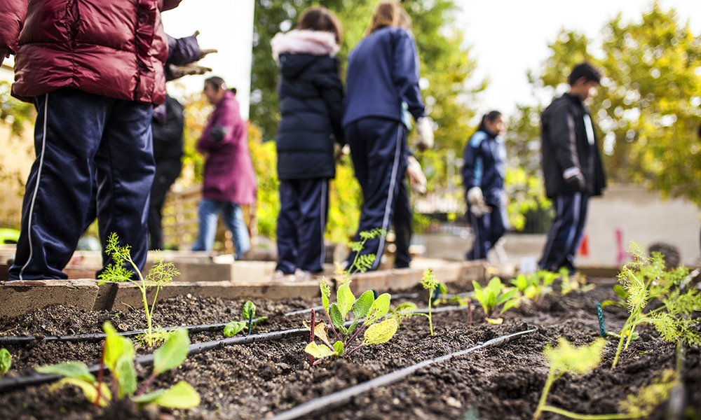 National Farm to School Month: Celebrating Our Community Food Systems