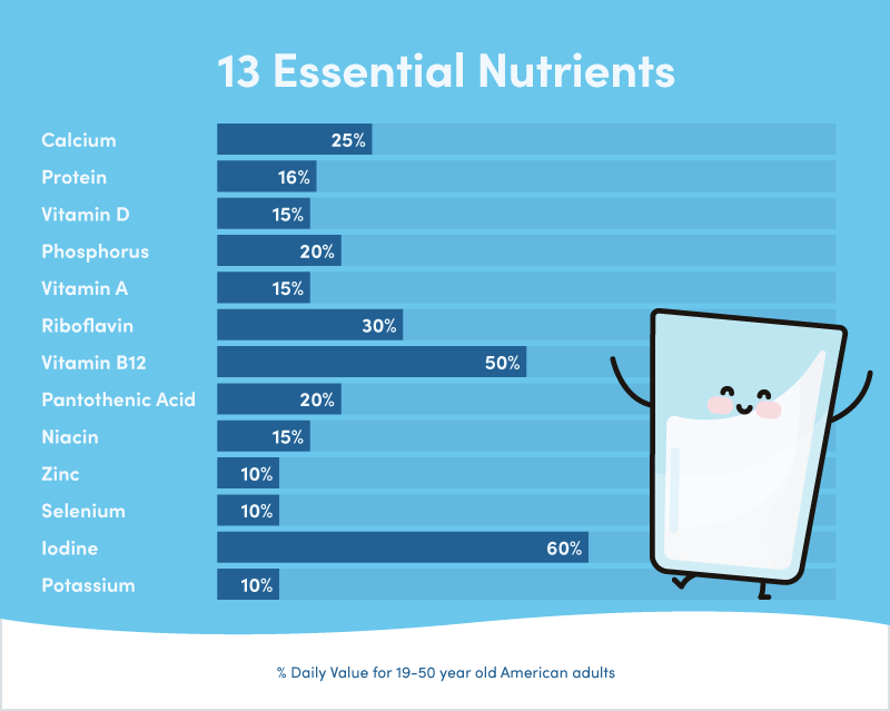 The anatomy of milk Milk contains many important nutrients